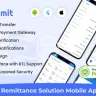 ViserRemit - Cross Platform Ultimate Remittance Solution